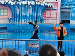 -华夏文旅海洋公园