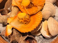 -马哥孛罗咖啡厅·Cafe Marco (厦门马哥孛罗东方大酒店)