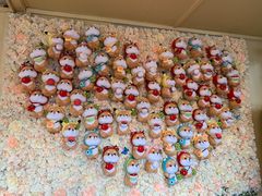 -柴犬高等学院·狗咖·柴犬售卖·宠物训练