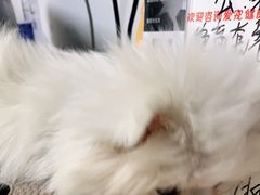 -宠颐生宠物医院外科·内科·皮肤科·影像科(石龙店)