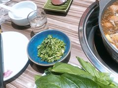 -锅十二涮肉馆·鞭蛋锅