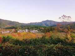 -塔川景区