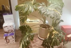 -海菲秀黑钻·SELF SKIN悦己·Tech SPA