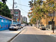 -洪湖生态旅游区