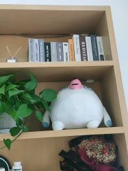 点击看大图 -WENDY·温迪皮肤管理