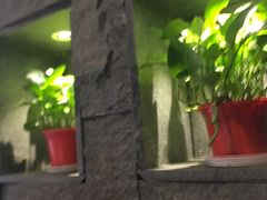 -新梅华·茶点餐厅(欧尚店)