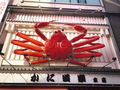 -蟹道乐(道顿堀本店)