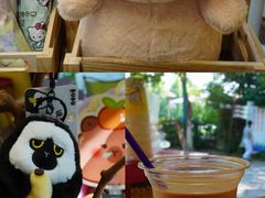 -合肥野生动物园
