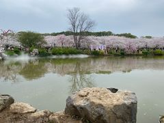 -东湖磨山景区
