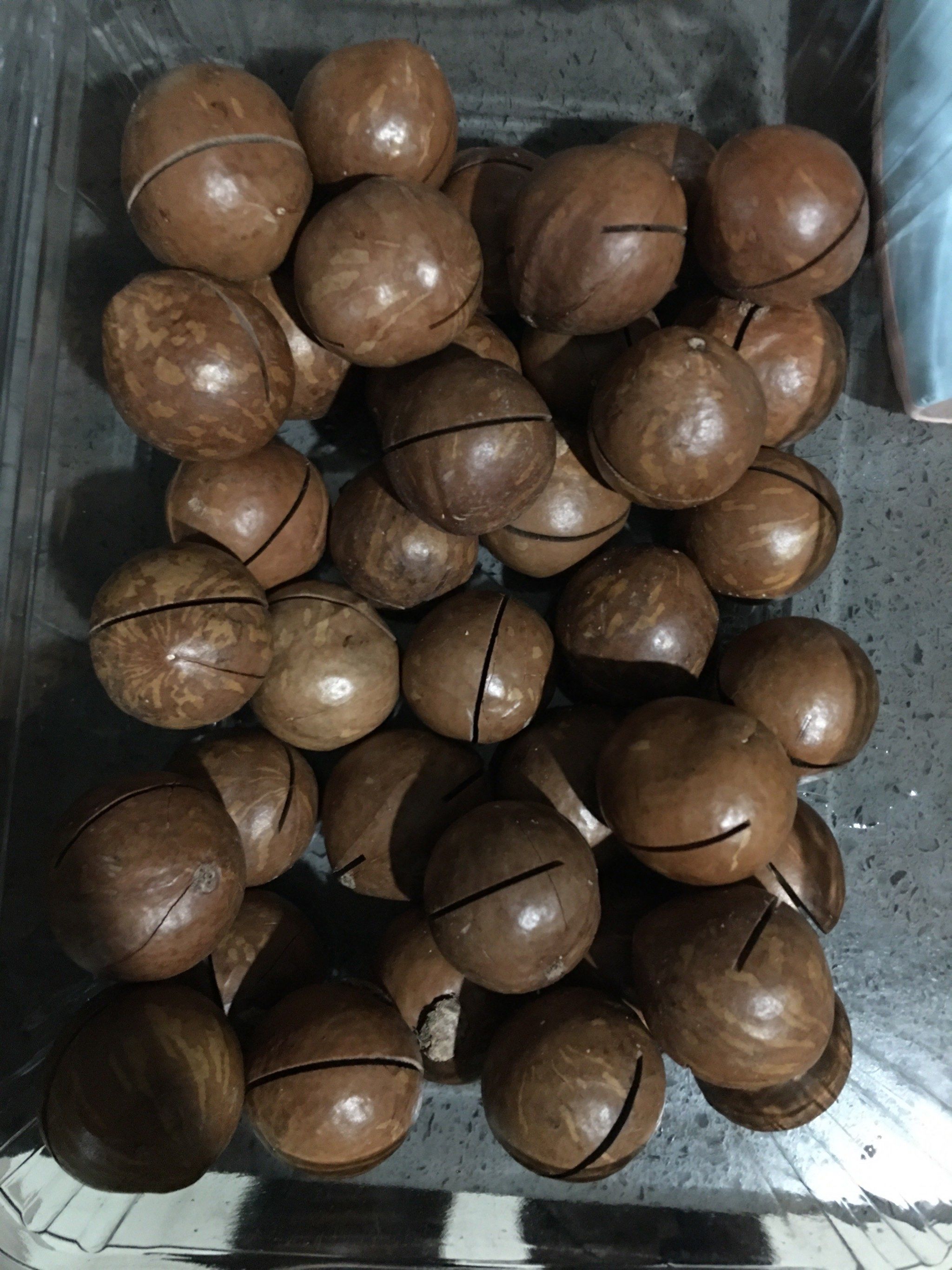 新鲜夏威夷果