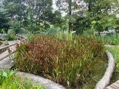 -成都市活水公园