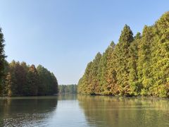 -上海海湾国家森林公园