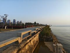 -芒洲湿地公园