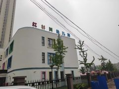 -红杉树紫金幼儿园