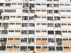 -彩虹村