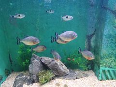 -常州海昌海洋探索馆