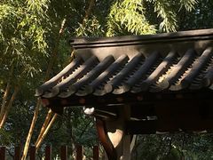 -静安公园(静安寺街道)