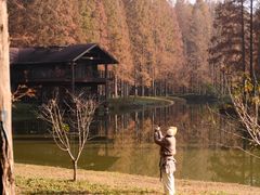 -黄海国家森林公园