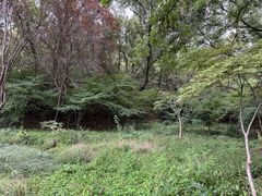 -大伊山景区