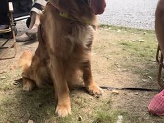 -J Create城市露营咖啡·简餐·宠物(上海动物园店)