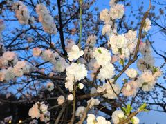 -玄武湖景区-情侣园游乐场