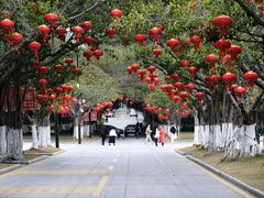 -厦门大学(思明校区)