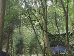 -都江堰普照寺