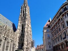 -斯蒂芬主教座堂(Stephansdom)