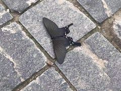 -百里峡七彩艺术小镇