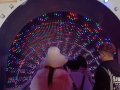 -太阳部落