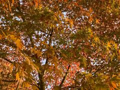 -艾溪湖湿地公园