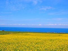 -青海湖二郎剑景区