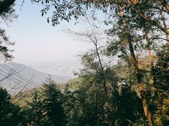 -南山植物园