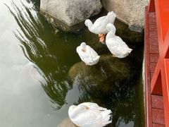 -唐城墙遗址公园