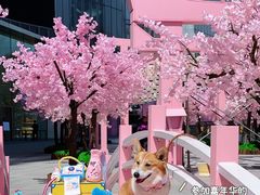 -金茂览秀城