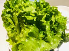 生菜-煲王粤菜餐厅(中侨中心店)