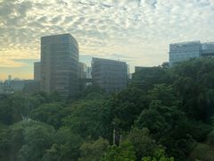-新加坡柏薇罗切斯特酒店