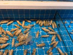 -老西门·常州菜(新区店)