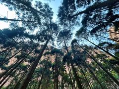 -雁荡山风景名胜区
