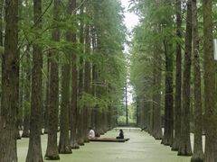 -渌洋湖湿地公园