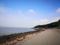 -深圳湾公园(南山区)