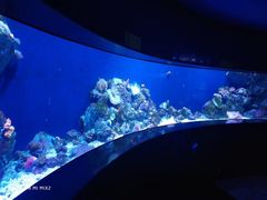 -成都浩海立方海洋公园