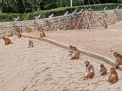 -哈尔滨北方森林动物园