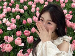-荷兰花海