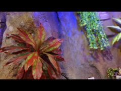 -醉小酒馆·川菜·江湖菜·重庆菜(观音桥旗舰店)