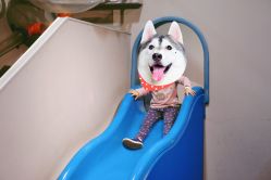 -北京科学中心儿童乐园