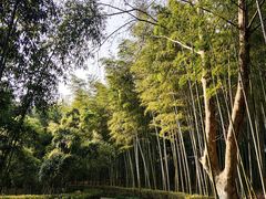 -兰亭风景区