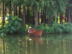 -佛冈森波拉度假区