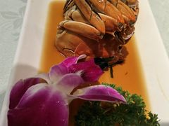 特色醉蟹-三玛璐酒楼(汉口路店)