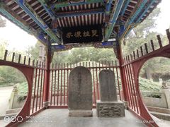 -武侯墓风景区